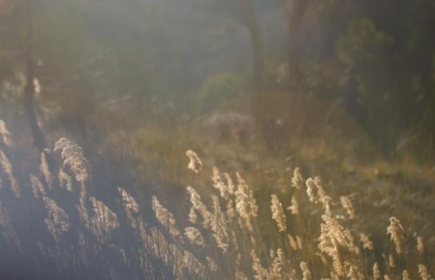 At Trinity Gate Investments , we are invested in the energy transition