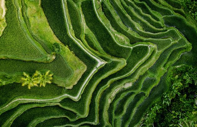 Trinity Gate Investments_Co-Invest_Sustainability