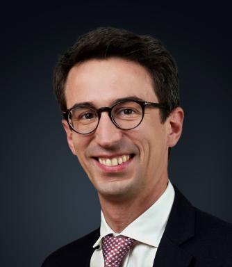 Federico Gotti-Tedeschi