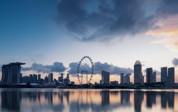 Trinity Gate Investments-launches-2021-Activity-and-Sustainability-Reports