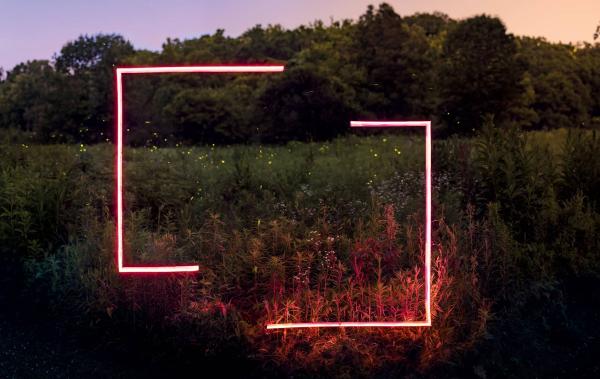 Governance at Trinity Gate Investments - strategy & vision