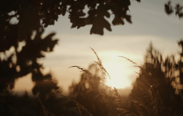  Architects-of-trinitygateinvestments-header