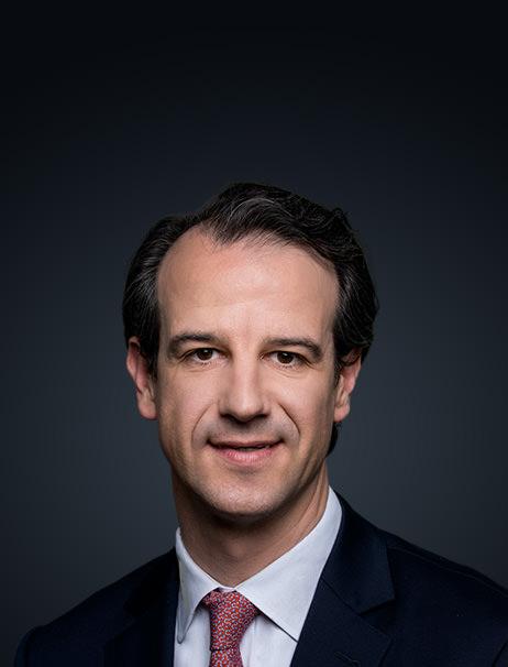 Daniel Graf Von Der Schulenburg